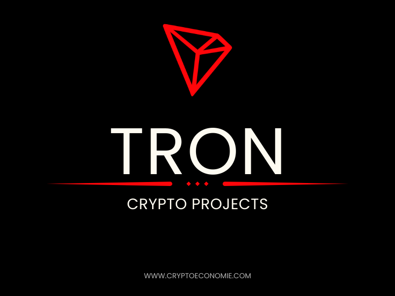 Understanding TRON : A Comprehensive Overview