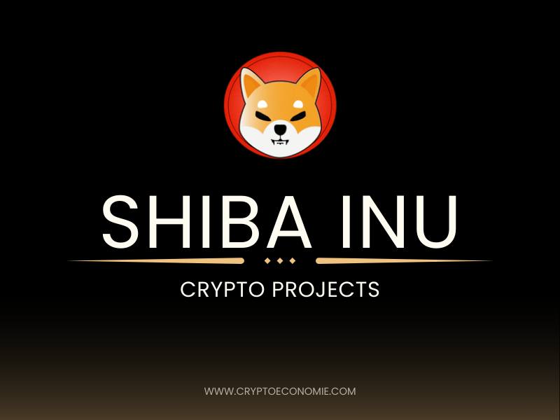 What is Shiba Inu? Understanding the Meme Coin Revolution