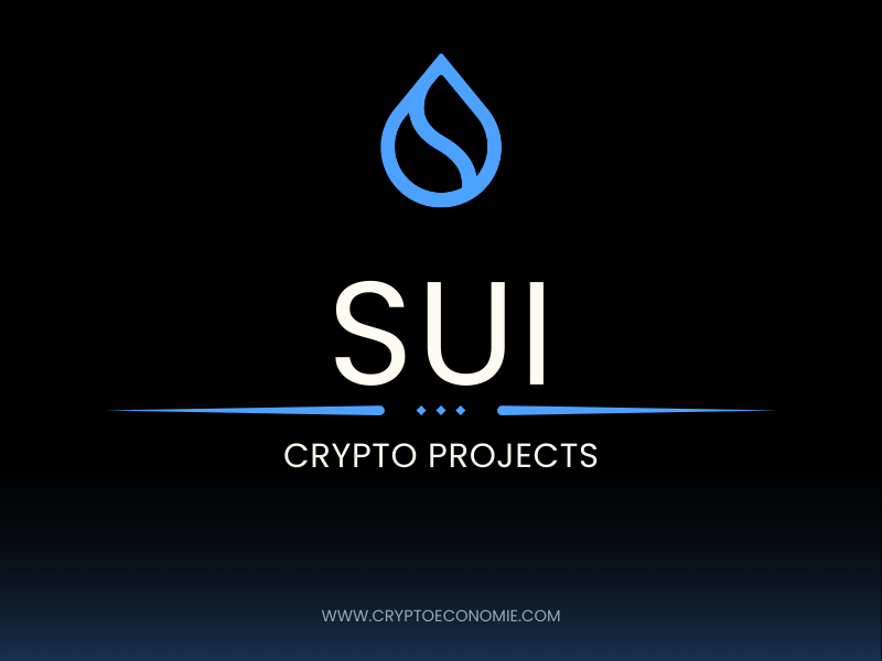 Understanding Sui: A Next-Generation Blockchain Ecosystem