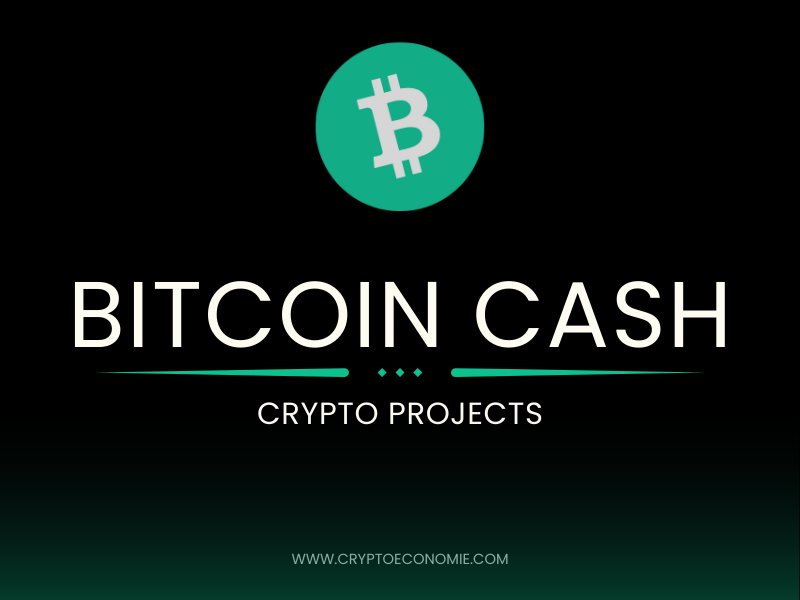 what is bitcoin cash? how does it work? pros and cons- guide 2025