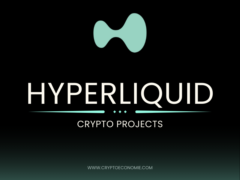 what is hyperliquid? how does hyperliquid work? hyperliquid pros and cons