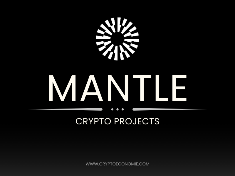 what is mantle (MNT)? how does mantle work ? mantle pros and cons-2025