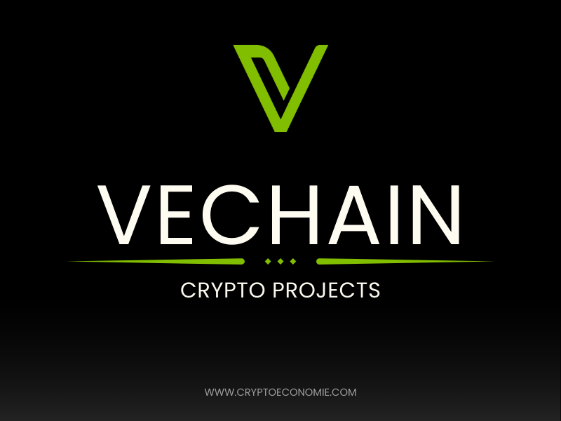 what is vechain(VET)? how does vechain work? pros and cons