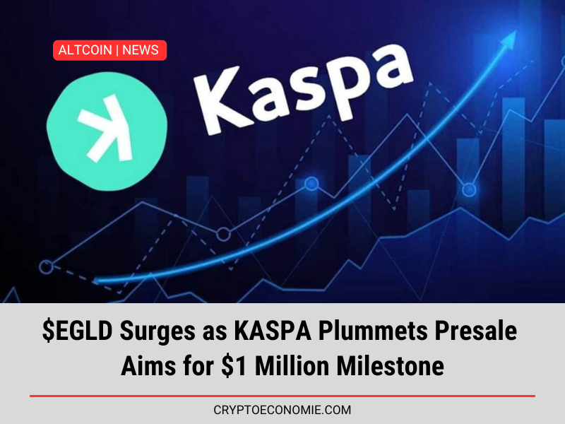 $EGLD Surges as KASPA Plummets. Presale Aims for $1 Million Milestone