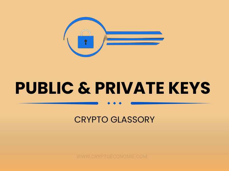 what are public and private keys in crypto-beginners guide(2025)