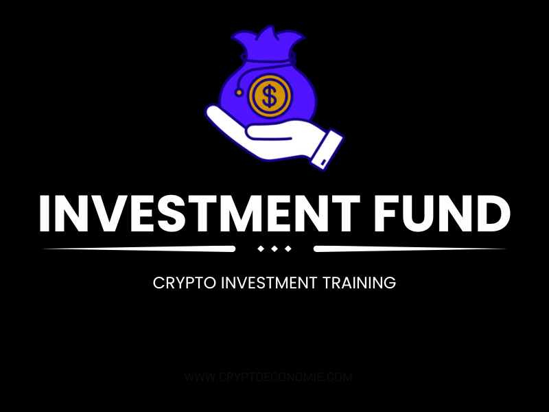 what is an investment fund in crypto-simple tutorial for beginners